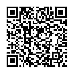 他带领孩子们搜集矿洞深处支离破碎的采矿法宝残骸二维码生成