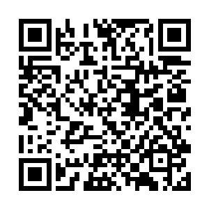他并不在意自己炼化的灵气都被这阵中生灵吸收的事二维码生成