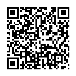 他并不敢保证东方家主不会将这片别墅区全部炸毁二维码生成