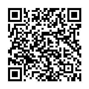 他并不是那种接上拿着小镊子夹人家钱包手机的偷儿二维码生成