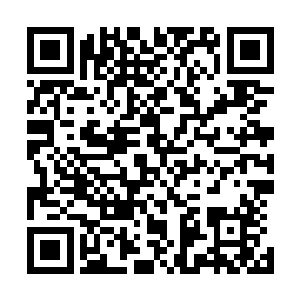 他并不曾料到自己的母亲居然会公开承认他和苏青黛的关系二维码生成
