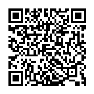 他并不清楚这颗混入了血气的原能弹究竟会有什么样的特殊之处二维码生成