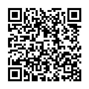 他并不觉得被两个虚拟游戏中的人物夸奖有什么荣幸的二维码生成