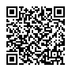 他并不认为面前这个小子真的能拿出八千块钱来二维码生成