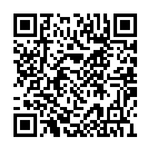 他并没有刹住脚步停在一个相对比较安全的距离二维码生成