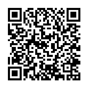 他并没有提及自己是跟凌雪鹫与李梦婕一起去买菜的二维码生成