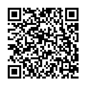 他应该会劝申啸昆把全副精力放在自己势力的经营上二维码生成