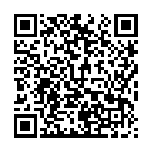 他应该是一路开着车从c城来到了我们这一个小小的村落二维码生成