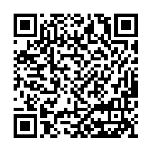 他建议吴卫国先去弄两座石狮子摆放在这舞台上二维码生成