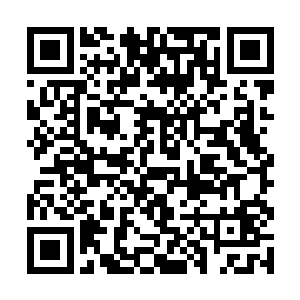 他开始仔细研究自己的血脉还有这个突然出现的兼职二维码生成