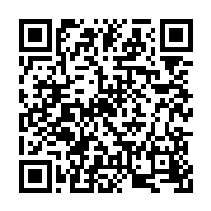 他开始细细观察智脑分析出来的深渊之力的构成二维码生成