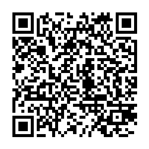 他弹奏的每一个音符都能让他们的灵魂感受到疼痛并因此而瑟瑟发抖二维码生成