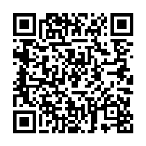 他强自按捺住一巴掌把这张欠扁的脸拍飞的冲动二维码生成