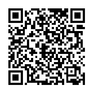 他当初和你签署的经纪人合同应该是不受国际足联承认二维码生成