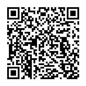 他当初的时候见到的那个杀气化龙的高手身上的杀气之龙乃是血红色二维码生成