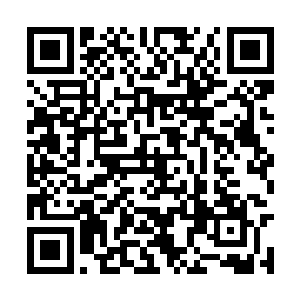 他当时甚至把一元八杰中的一个弟子给打成了白痴二维码生成