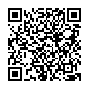 他当时的念头就是如果自己的人碰到天门的人之后一定要杀死二维码生成