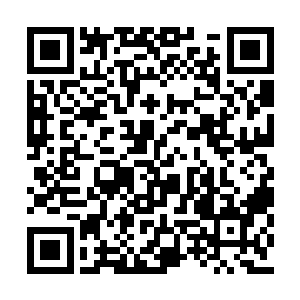 他当晚也是享受到了冷小野亲手制作的烤鱼大餐二维码生成