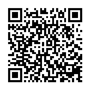 他当然不介意当李奇以及他背后的家族狠狠的出一口血了二维码生成