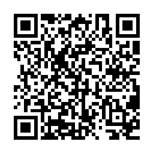 他当然不可能看着自己族类在虚无之境中永无止境地等待下去二维码生成
