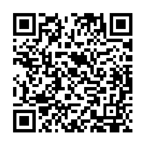 他当然知道谭继之现在还不走停留在这里是为了什么二维码生成