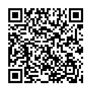 他当然见过d30炮在自家人手里用着的时候是什么样子的二维码生成