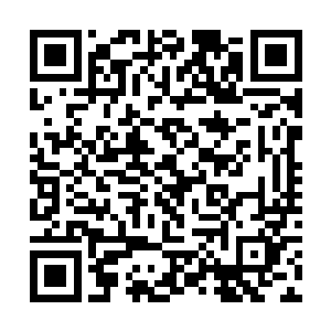 他很好奇能将她的心打动的男子会是怎么样的一个人二维码生成