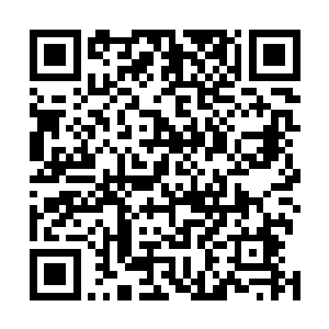 他很想立刻带着族人去拿着商人给的样板去森林里找宝贝二维码生成