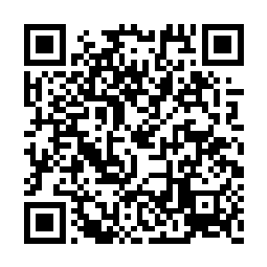他很清楚他家祭司大人绝对不会希望他半途插手二维码生成