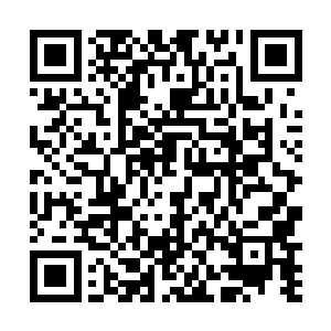 他很清楚南宫流云那几个诡异的古神文字威力有多可怕二维码生成