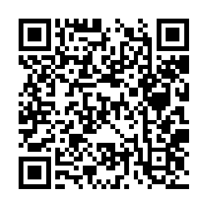 他很难把眼前这个头发灰蒙蒙的上面还沾满了木屑二维码生成