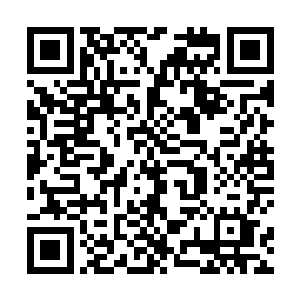 他得抓紧时间为自己的收藏寻找到一个最合适的人接手二维码生成