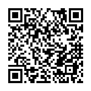 他得提前跟麻生沙树和千叶佳子两人都打一声招呼二维码生成