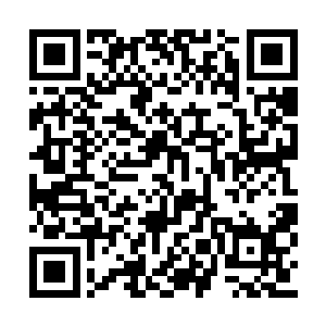 他得知九风将会留在巢穴里把这个洞口完全封住二维码生成