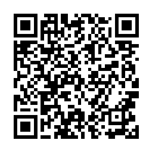 他心中不由的将兽神殿与佣兵之城的那座至高神殿相比较二维码生成