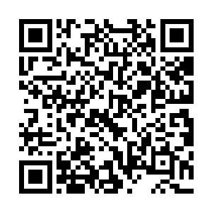 他心中就已经猜到这件事情多半是和上古神兽天翼神虎有关二维码生成