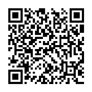 他心中的那块石头也跟着落地了――总算是赌对了二维码生成