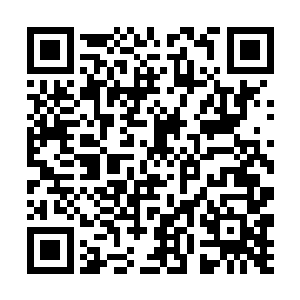 他心里对张潇晗能够破开禁制的幻象根本就没有信心二维码生成