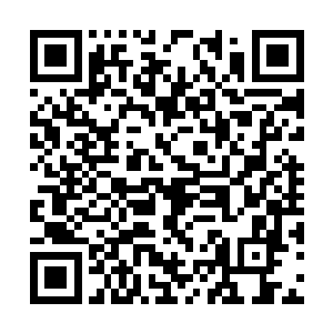 他心里还真不认为言家父子敢这么冒险的绑架秦洛二维码生成