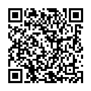 他必须为了自己打拼才能得到我们生来就有的一切二维码生成