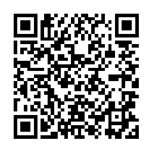 他必须寻找到一位对卷轴知识有着极高认知水准的鉴定师二维码生成