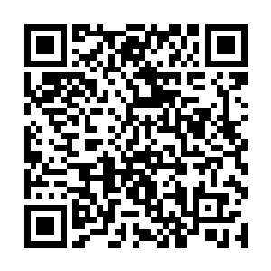 他必须还要在这里挖出一个能埋下丈许大阵盘的坑洞二维码生成