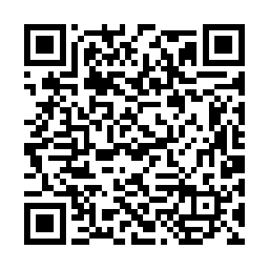 他忍受着狗舌头的舔来舔去仔细检查了小黑的身体二维码生成