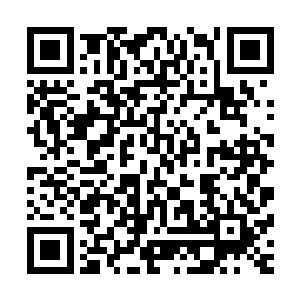 他忽然想起了自己率军前往风云关路上遇到的那一支人族大军二维码生成