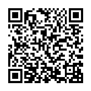 他忽然想起了自己跟天祈是怎样将蕊蕊一点点带大的二维码生成