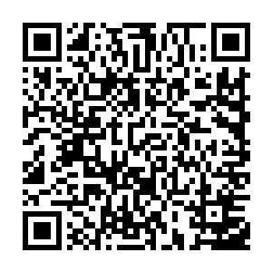 他忽然有了一种不同寻常的感受那螺旋的力量在摧毁他肉身和神识之力的同时二维码生成