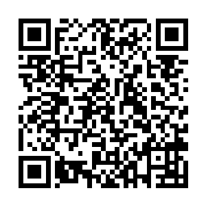 他忽然看到路边的绿化带里藏着一只非常小的猫崽子二维码生成