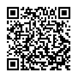 他忽然费力抬起那只被子弹贯穿缠着白纱布的胳膊拥紧了夏天二维码生成