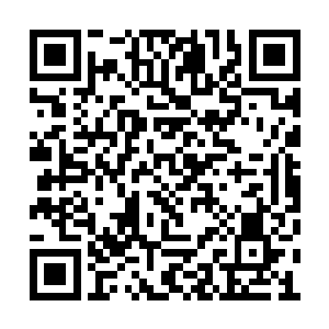 他怀中抱着一个小木箱一脸疲惫的来到剑尘身边二维码生成