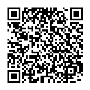 他怎么也不会想到在这样的情况下自己的兄弟居然会残杀另外一个兄弟二维码生成